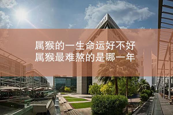 属猴的一生命运好不好 属猴最难熬的是哪一年
