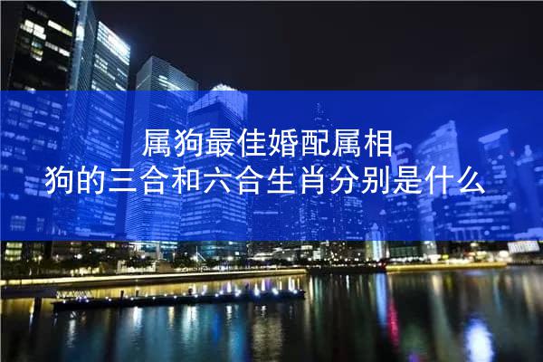 属狗最佳婚配属相 狗的三合和六合生肖分别是什么