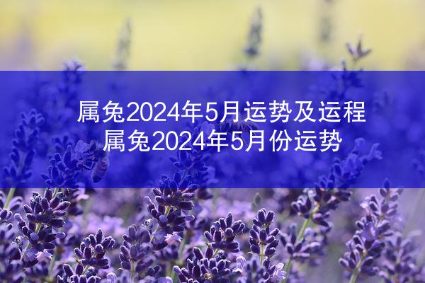 属兔2024年5月运势及运程 属兔2024年5月份运势