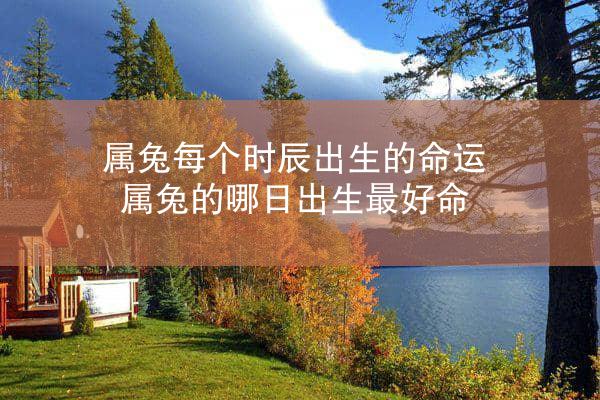 属兔每个时辰出生的命运 属兔的哪日出生最好命