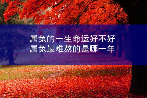 属兔的一生命运好不好 属兔最难熬的是哪一年