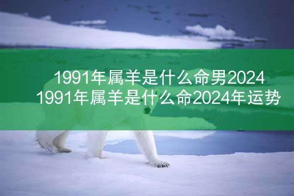 1991年属羊是什么命男2024 1991年属羊是什么命2024年运势
