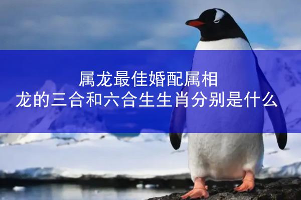 属龙最佳婚配属相 龙的三合和六合生生肖分别是什么