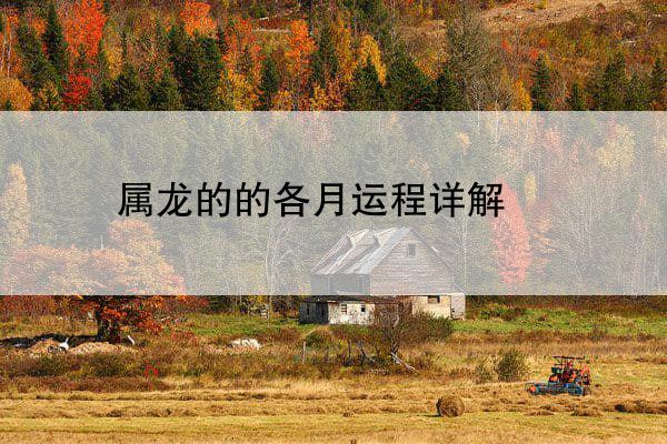 属龙的的各月运程详解