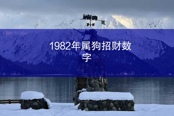 1982年属狗招财数字