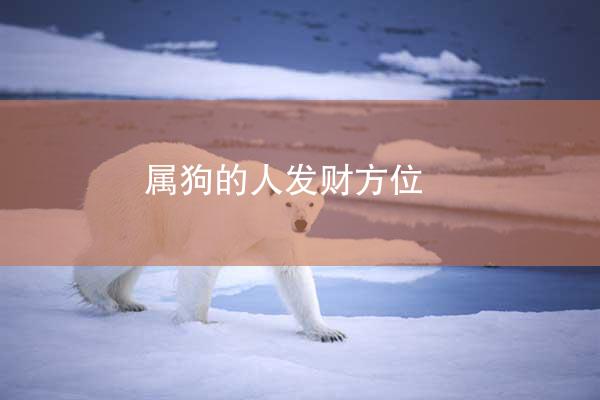 属狗的人发财方位