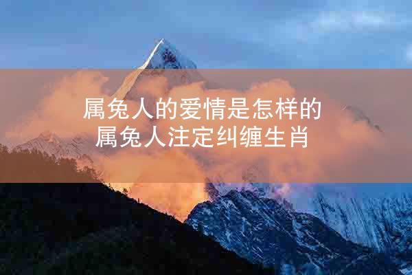 属兔人的爱情是怎样的 属兔人注定纠缠生肖