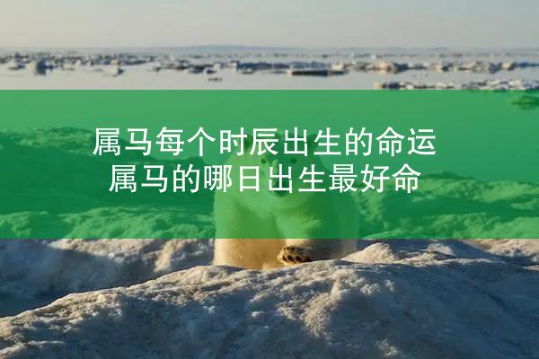 属马每个时辰出生的命运 属马的哪日出生最好命