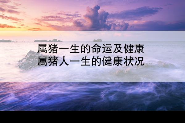 属猪一生的命运及健康 属猪人一生的健康状况