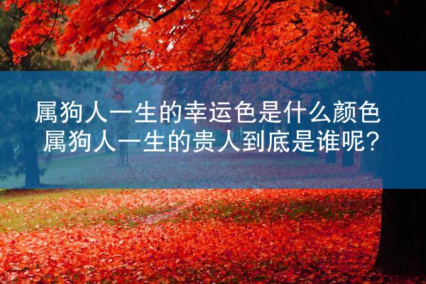 属狗人一生的幸运色是什么颜色 属狗人一生的贵人到底是谁呢?