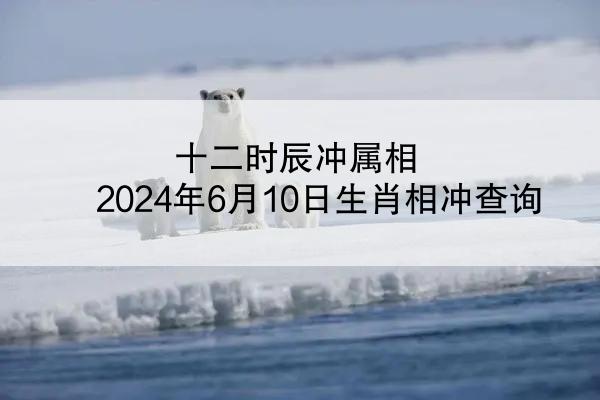 十二时辰冲属相 2024年6月10日生肖相冲查询