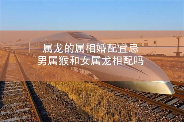 属龙的属相婚配宜忌 男属猴和女属龙相配吗