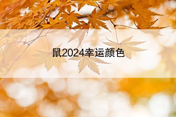 鼠2024幸运颜色