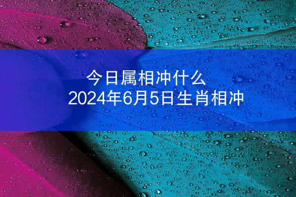 今日属相冲什么 2024年6月5日生肖相冲