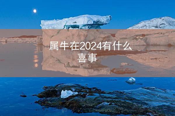 属牛在2024有什么喜事
