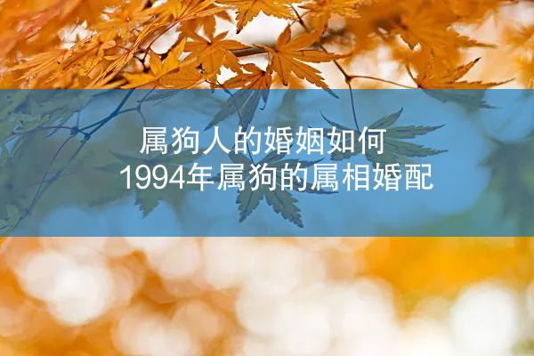 属狗人的婚姻如何 1994年属狗的属相婚配