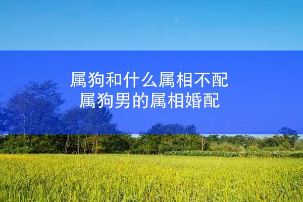 属狗和什么属相不配 属狗男的属相婚配