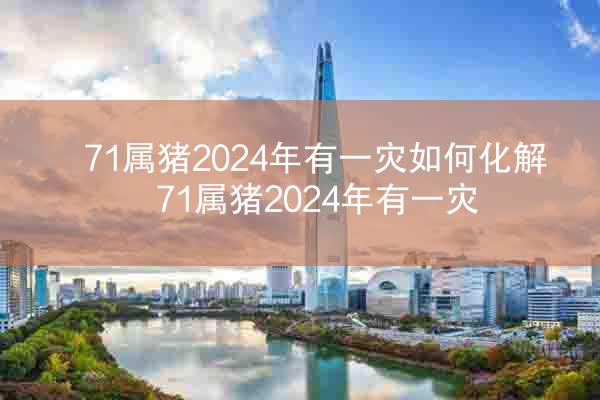 71属猪2024年有一灾如何化解 71属猪2024年有一灾