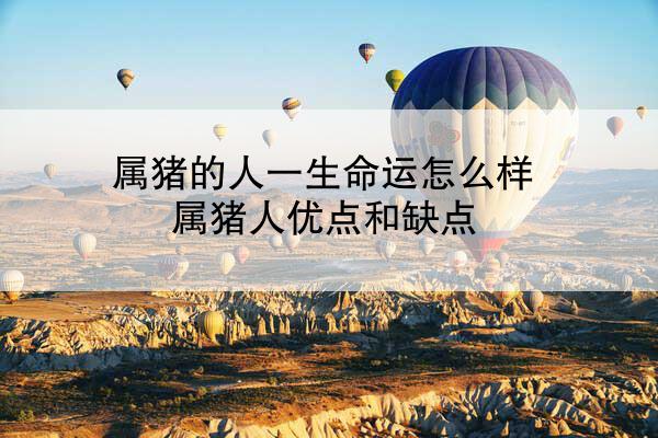 属猪的人一生命运怎么样 属猪人优点和缺点