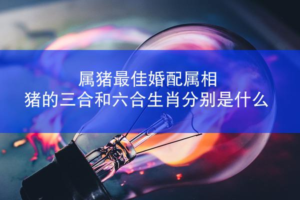 属猪最佳婚配属相 猪的三合和六合生肖分别是什么