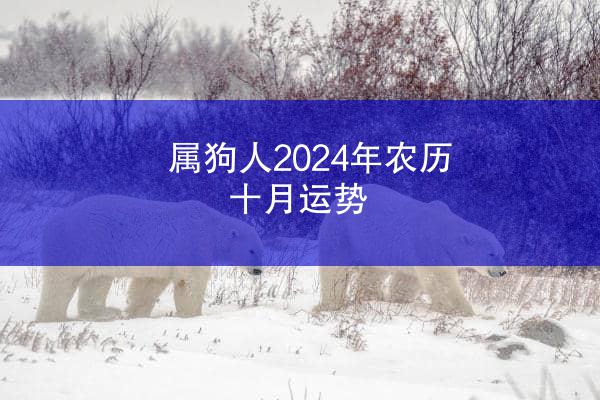 属狗人2024年农历十月运势