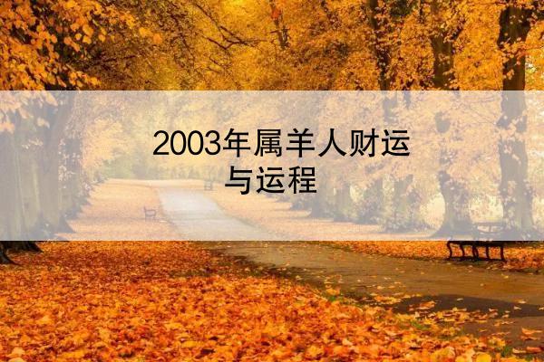 2003年属羊人财运与运程