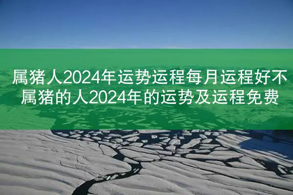 属猪人2024年运势运程每月运程好不 属猪的人2024年的运势及运程免费