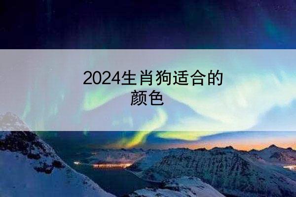 2024生肖狗适合的颜色