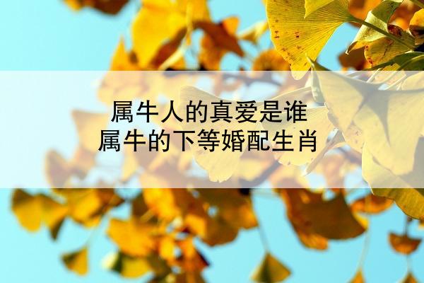 属牛人的真爱是谁 属牛的下等婚配生肖