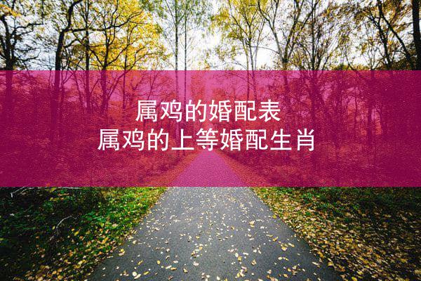 属鸡的婚配表 属鸡的上等婚配生肖