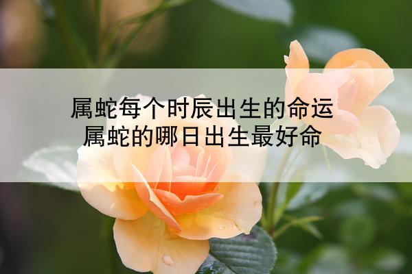 属蛇每个时辰出生的命运 属蛇的哪日出生最好命
