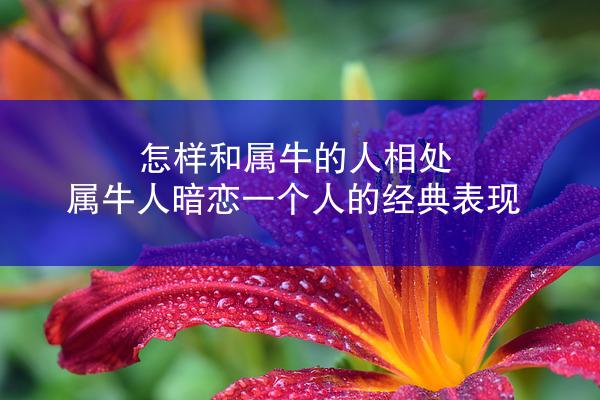 怎样和属牛的人相处 属牛人暗恋一个人的经典表现