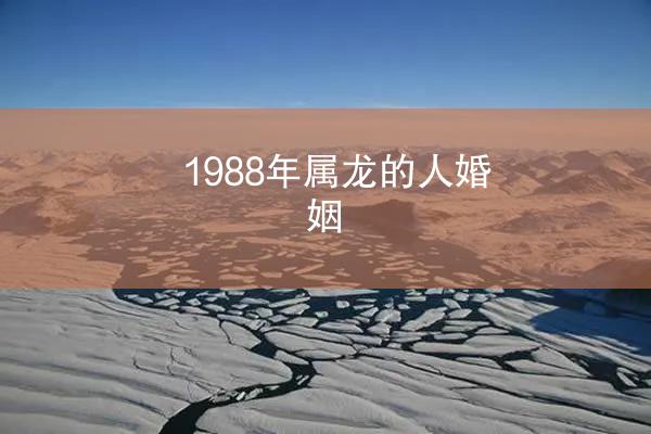 1988年属龙的人婚姻