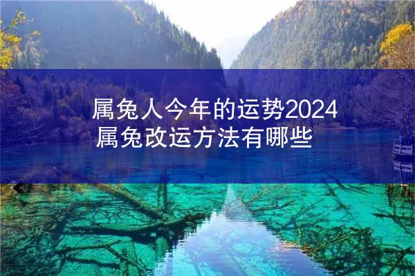 属兔人今年的运势2024 属兔改运方法有哪些