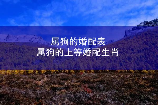属狗的婚配表 属狗的上等婚配生肖