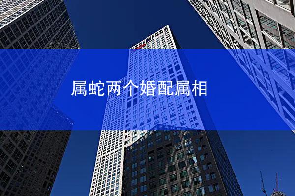 属蛇两个婚配属相