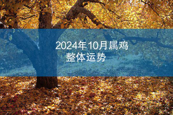 2024年10月属鸡整体运势