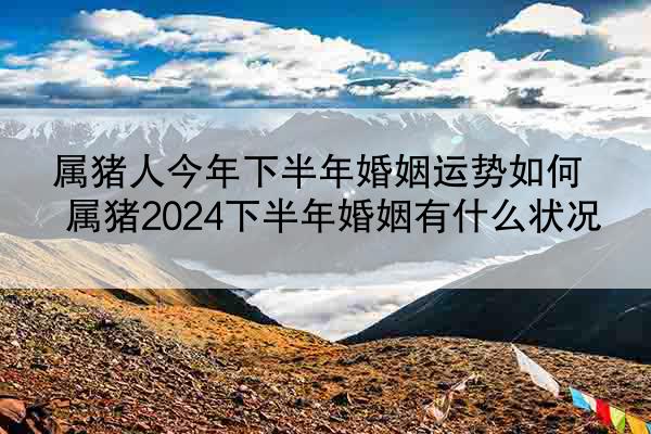 属猪人今年下半年婚姻运势如何 属猪2024下半年婚姻有什么状况