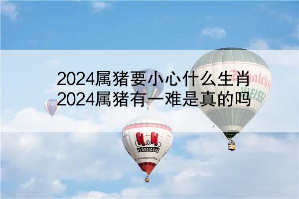2024属猪要小心什么生肖 2024属猪有一难是真的吗