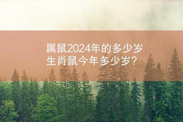 属鼠2024年的多少岁 生肖鼠今年多少岁?