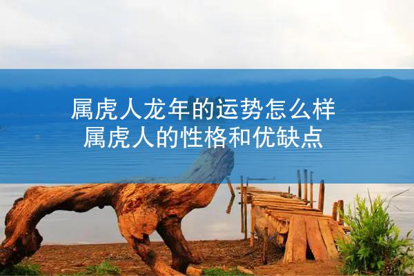 属虎人龙年的运势怎么样 属虎人的性格和优缺点