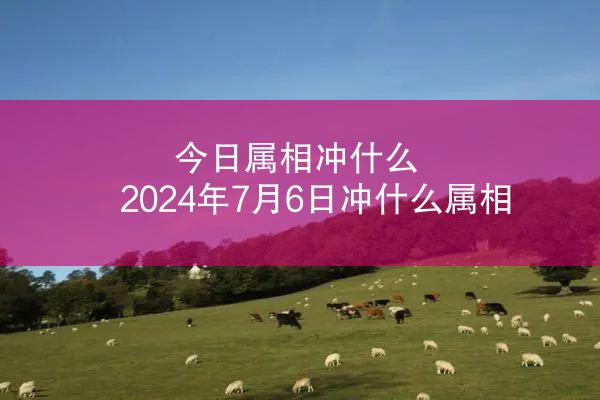 今日属相冲什么 2024年7月6日冲什么属相