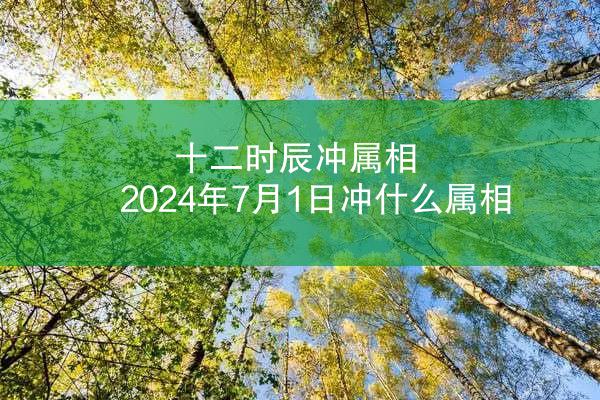 十二时辰冲属相 2024年7月1日冲什么属相