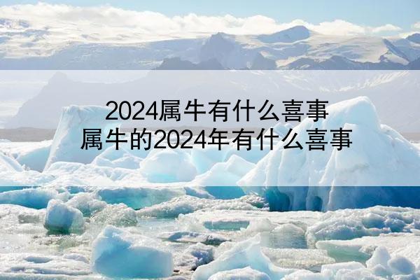 2024属牛有什么喜事 属牛的2024年有什么喜事