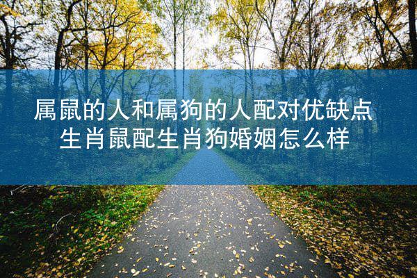 属鼠的人和属狗的人配对优缺点 生肖鼠配生肖狗婚姻怎么样