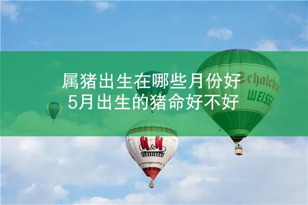 属猪出生在哪些月份好 5月出生的猪命好不好