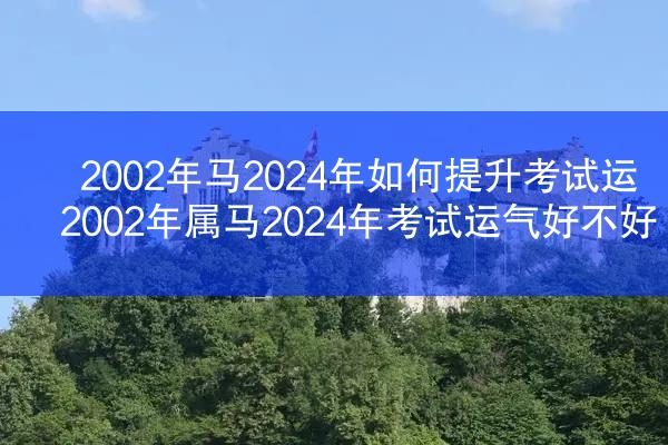 2002年马2024年如何提升考试运 2002年属马2024年考试运气好不好