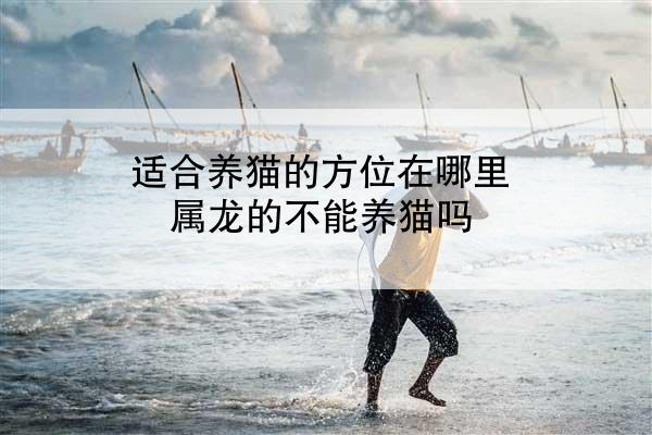 适合养猫的方位在哪里 属龙的不能养猫吗