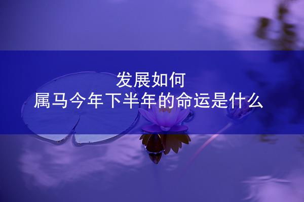 发展如何 属马今年下半年的命运是什么