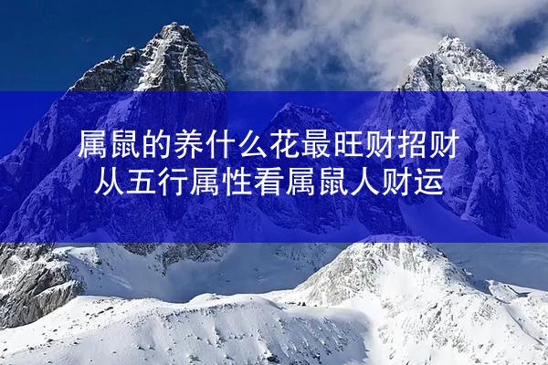 属鼠的养什么花最旺财招财 从五行属性看属鼠人财运